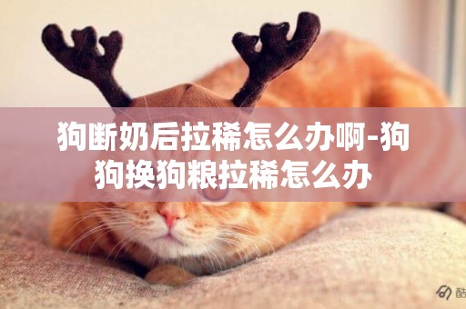 狗斷奶后拉稀怎么辦啊-狗狗換狗糧拉稀怎么辦
