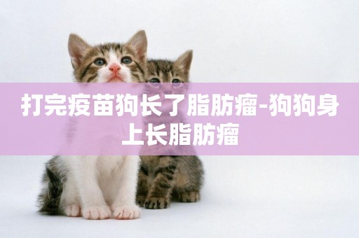 打完疫苗狗長了脂肪瘤-狗狗身上長脂肪瘤
