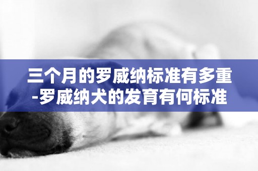 三個月的羅威納標準有多重-羅威納犬的發育有何標準