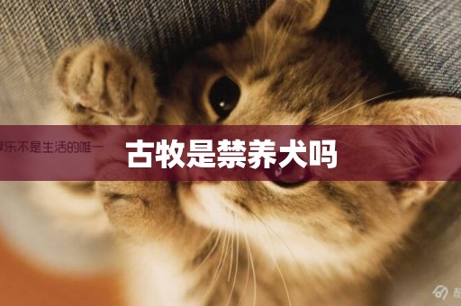 古牧是禁養犬嗎