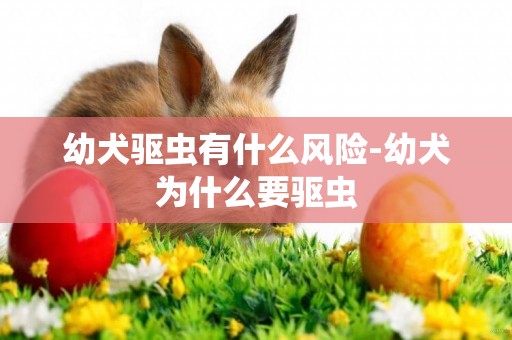 幼犬驅蟲有什么風險-幼犬為什么要驅蟲