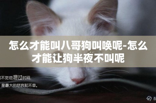 怎么才能叫八哥狗叫喚呢-怎么才能讓狗半夜不叫呢