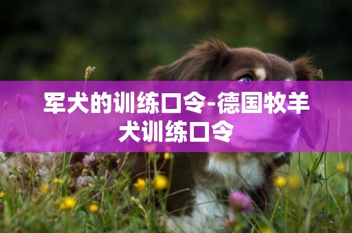 軍犬的訓練口令-德國牧羊犬訓練口令