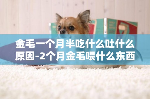 金毛一個月半吃什么吐什么原因-2個月金毛喂什么東西