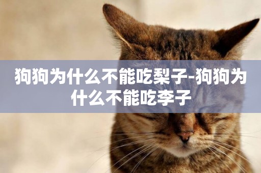 狗狗為什么不能吃梨子-狗狗為什么不能吃李子