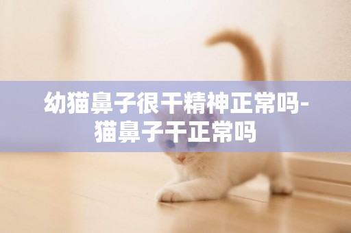 幼貓鼻子很干精神正常嗎-貓鼻子干正常嗎