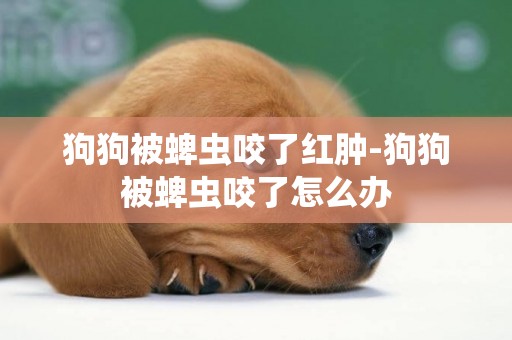 狗狗被蜱蟲咬了紅腫-狗狗被蜱蟲咬了怎么辦