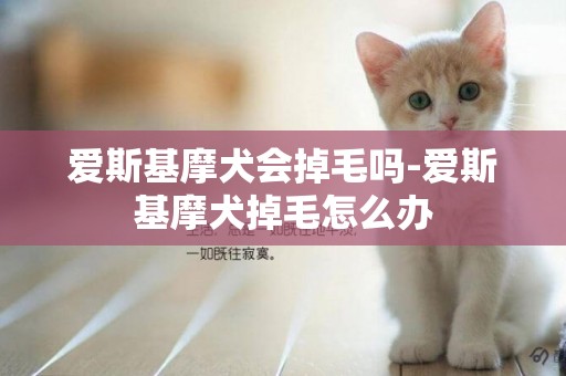 愛斯基摩犬會掉毛嗎-愛斯基摩犬掉毛怎么辦