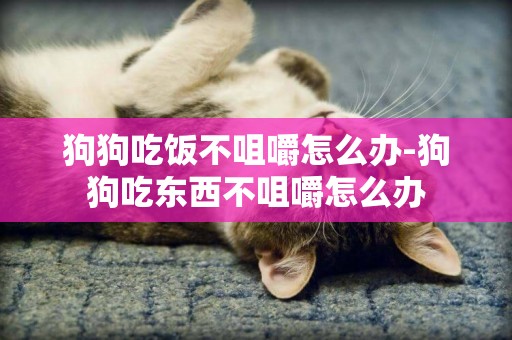 狗狗吃飯不咀嚼怎么辦-狗狗吃東西不咀嚼怎么辦