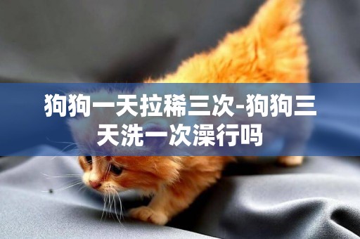 狗狗一天拉稀三次-狗狗三天洗一次澡行嗎