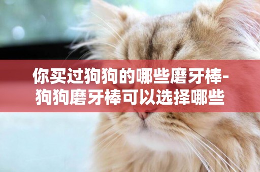 你買過狗狗的哪些磨牙棒-狗狗磨牙棒可以選擇哪些