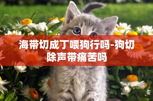 海帶切成丁喂狗行嗎-狗切除聲帶痛苦嗎