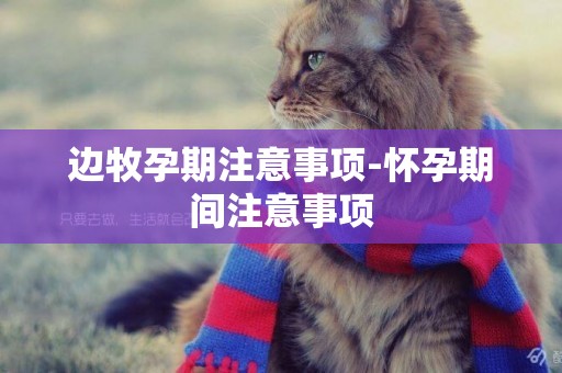 邊牧孕期注意事項-懷孕期間注意事項
