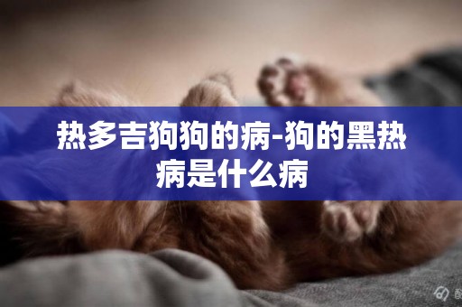 熱多吉狗狗的病-狗的黑熱病是什么病