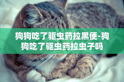 狗狗吃了驅蟲藥拉黑便-狗狗吃了驅蟲藥拉蟲子嗎