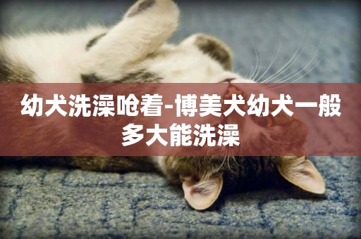 幼犬洗澡嗆著-博美犬幼犬一般多大能洗澡