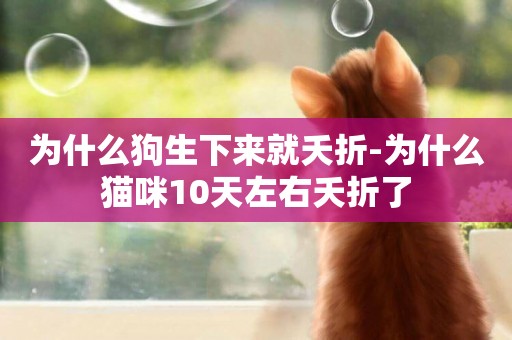 為什么狗生下來就夭折-為什么貓咪10天左右夭折了
