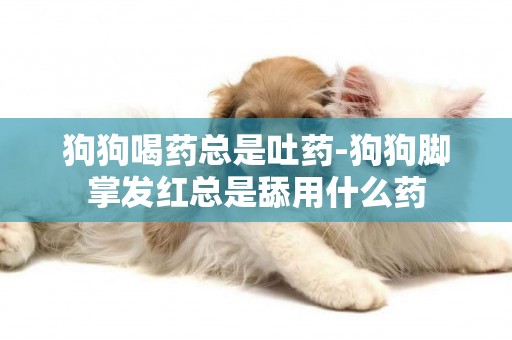 狗狗喝藥總是吐藥-狗狗腳掌發紅總是舔用什么藥