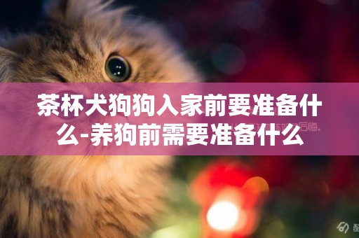 茶杯犬狗狗入家前要準備什么-養狗前需要準備什么