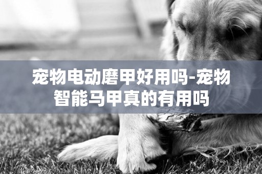 寵物電動磨甲好用嗎-寵物智能馬甲真的有用嗎