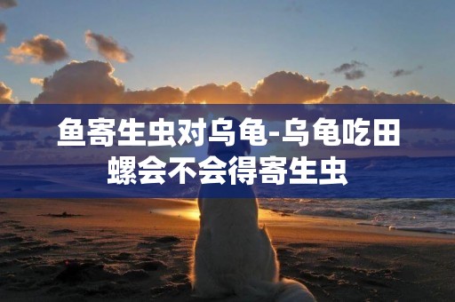 魚寄生蟲對烏龜-烏龜吃田螺會不會得寄生蟲