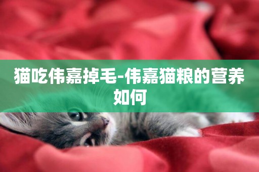 貓吃偉嘉掉毛-偉嘉貓糧的營養如何