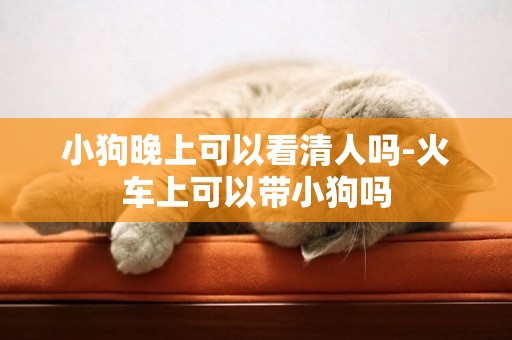 小狗晚上可以看清人嗎-火車上可以帶小狗嗎