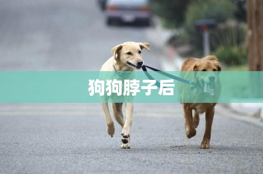 狗狗脖子后