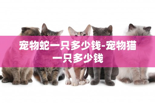 寵物蛇一只多少錢-寵物貓一只多少錢
