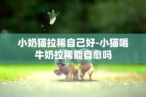 小奶貓拉稀自己好-小貓喝牛奶拉稀能自愈嗎