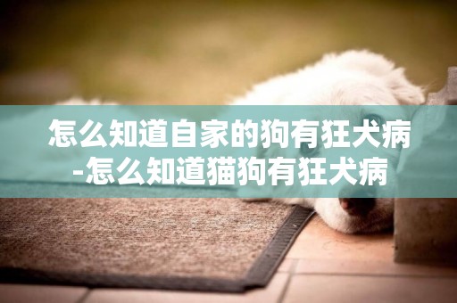 怎么知道自家的狗有狂犬病-怎么知道貓狗有狂犬病