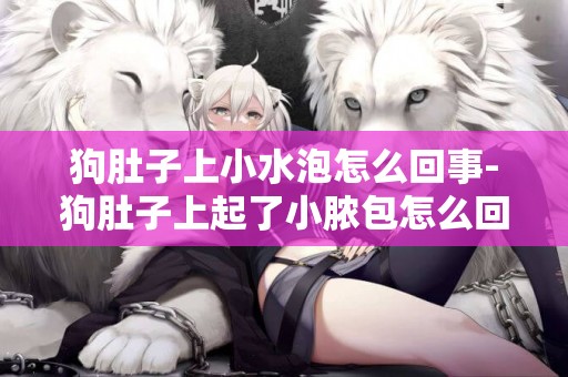 狗肚子上小水泡怎么回事-狗肚子上起了小膿包怎么回事