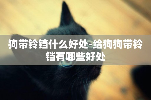 狗帶鈴鐺什么好處-給狗狗帶鈴鐺有哪些好處