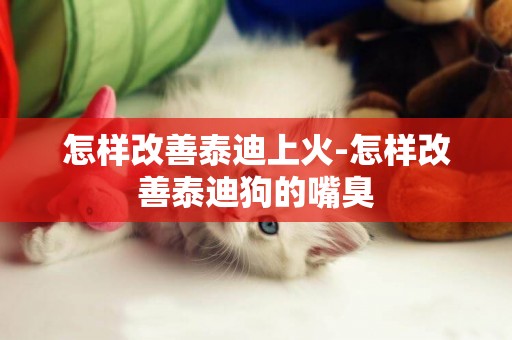 怎樣改善泰迪上火-怎樣改善泰迪狗的嘴臭