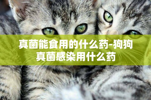 真菌能食用的什么藥-狗狗真菌感染用什么藥