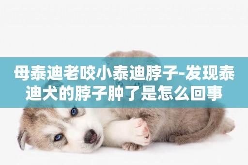 母泰迪老咬小泰迪脖子-發現泰迪犬的脖子腫了是怎么回事