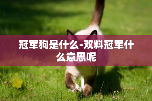 冠軍狗是什么-雙料冠軍什么意思呢