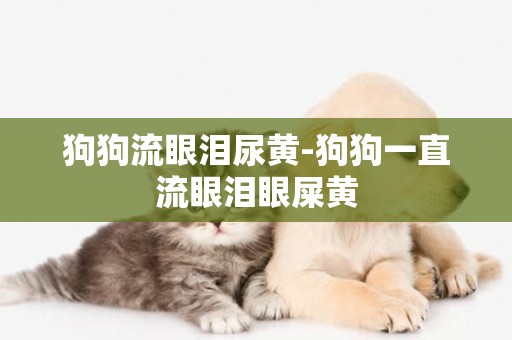 狗狗流眼淚尿黃-狗狗一直流眼淚眼屎黃