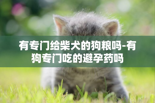 有專門給柴犬的狗糧嗎-有狗專門吃的避孕藥嗎