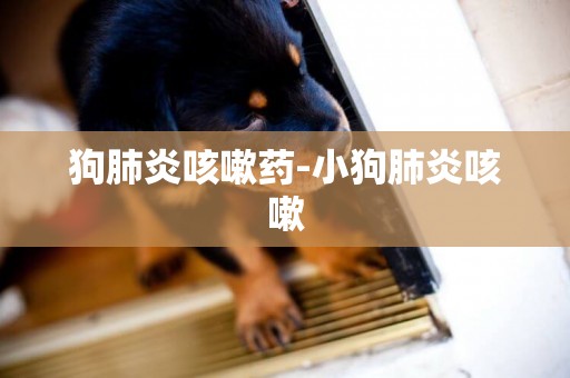 狗肺炎咳嗽藥-小狗肺炎咳嗽