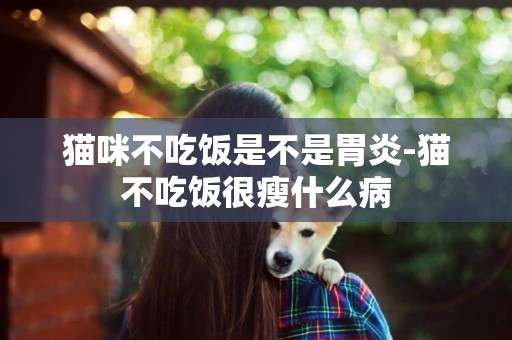 貓咪不吃飯是不是胃炎-貓不吃飯很瘦什么病
