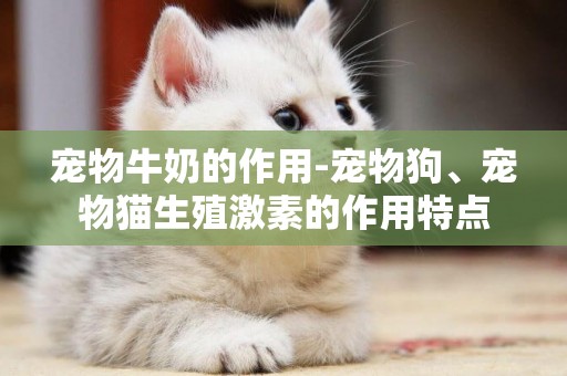 寵物牛奶的作用-寵物狗、寵物貓生殖激素的作用特點