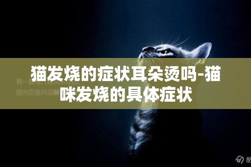 貓發燒的癥狀耳朵燙嗎-貓咪發燒的具體癥狀