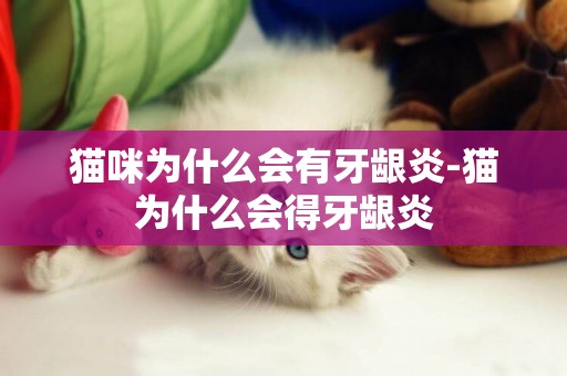 貓咪為什么會有牙齦炎-貓為什么會得牙齦炎