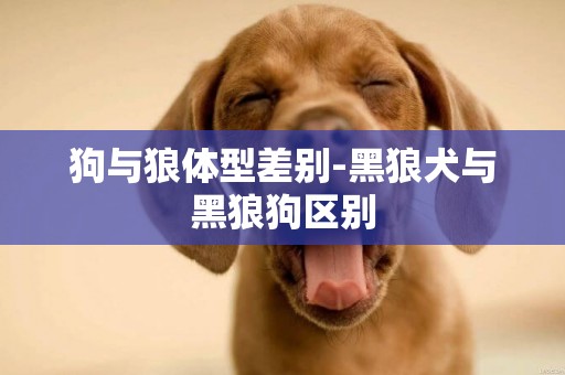 狗與狼體型差別-黑狼犬與黑狼狗區別