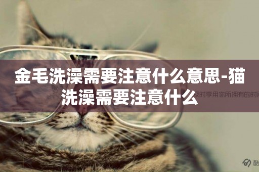 金毛洗澡需要注意什么意思-貓洗澡需要注意什么