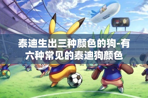 泰迪生出三種顏色的狗-有六種常見的泰迪狗顏色