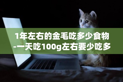 1年左右的金毛吃多少食物-一天吃100g左右要少吃多