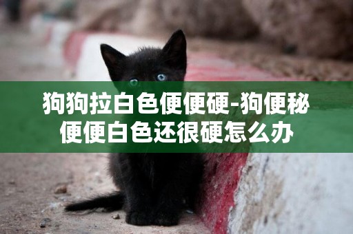 狗狗拉白色便便硬-狗便秘便便白色還很硬怎么辦