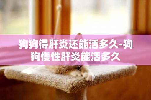 狗狗得肝炎還能活多久-狗狗慢性肝炎能活多久